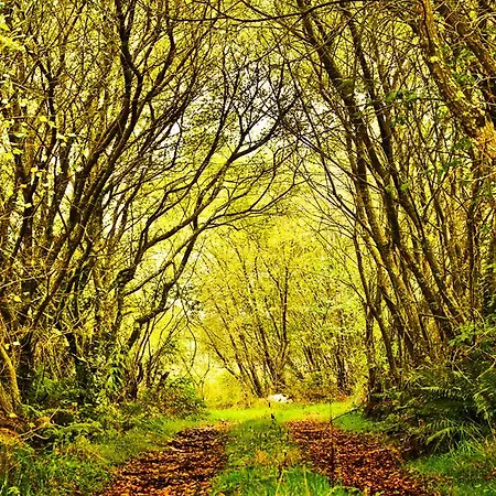 Balneario De Hotell Carballo