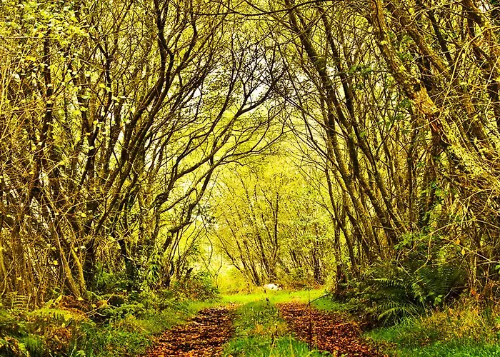 Balneario De Hotel Carballo