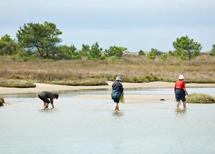 Balneario De Hotel Carballo